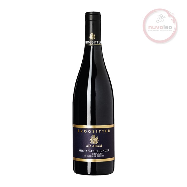 Brogsitter Weingüter, Rheinhessen Edition-B Spätburgunder Trocken Barrique 2018 (0,75 l)