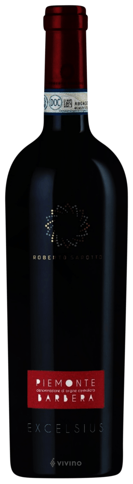 [NUVBARBEXCELSIUS22] Roberto Sarotto, Piemonte Barbera Excelsius 2022