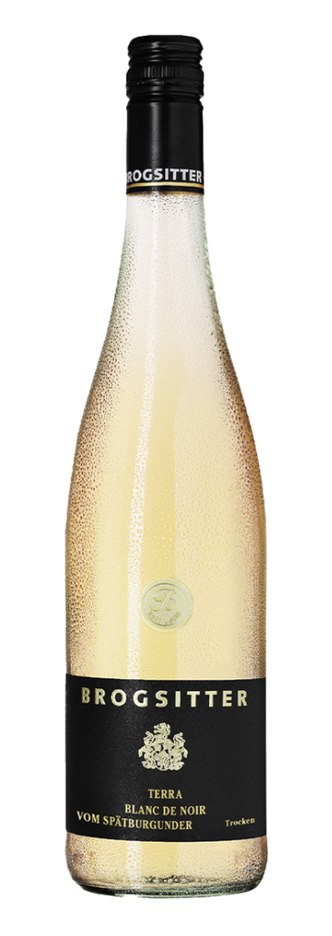 Brogsitter Weingüter, Rheinhessen Terra Blanc, Spätburgunder Blanc de Noir 2023 (0,75 l)
