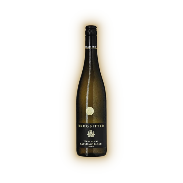 Brogsitter Weingüter, Rheinhessen Terra Blanc Sauvignon Blanc 2024 (0,75 l)