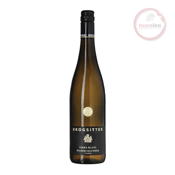 Brogsitter Weingüter, Rheinhessen Terra Blanc Weissburgunder 2023 (0,75 l)