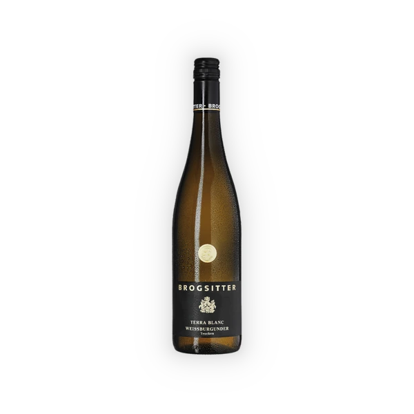 Brogsitter Weingüter, Rheinhessen Terra Blanc Weissburgunder 2023 (0,75 l)