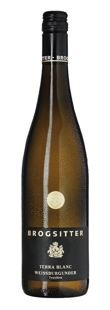 Brogsitter Weingüter, Rheinhessen Terra Blanc Weissburgunder
