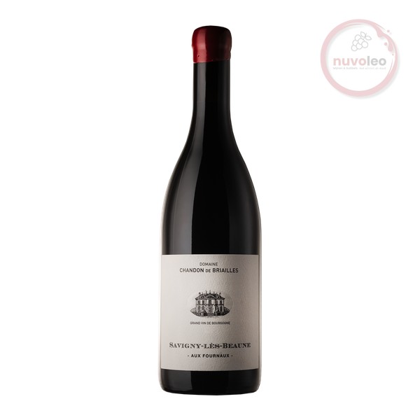 Domaine Chandon de Briailles, Savigny-lès-Beaune AC Aux Fournaux  BIO 2022 (0,75 l)