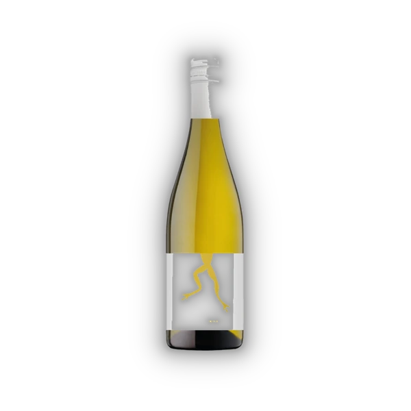 [COA01023] Vignerons Coöperatives Vica, VdF Coa Coa 2023 (0,75 l)