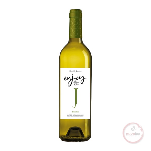 Domaine de Joy, Côtes de Gascogne IGP Enjoy Blanc 2024 (0,75 l)