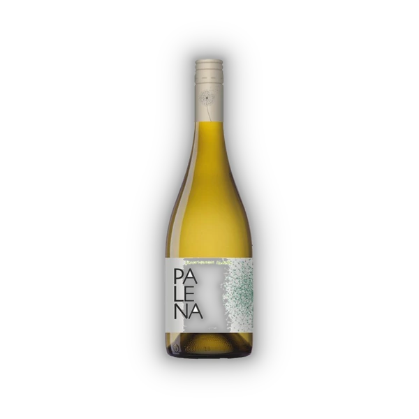 Palena, Rappel Valley Sauvignon Blanc 2023 (0,75 l)