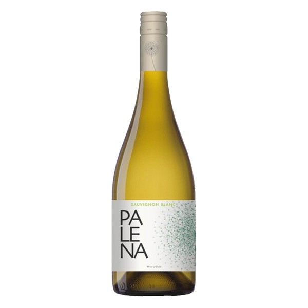 [PALE01023] Palena, Rappel Valley Sauvignon Blanc 2023 (0,75 l)