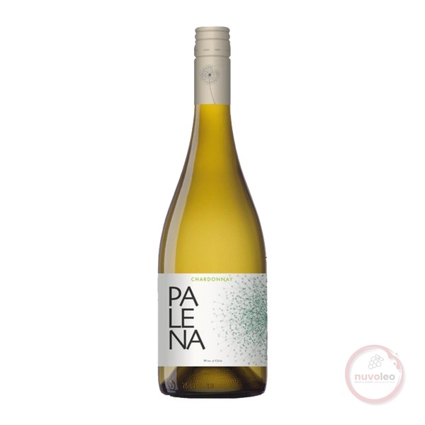 Palena, Maipo Valley Chardonnay 2024 (0,75 l)