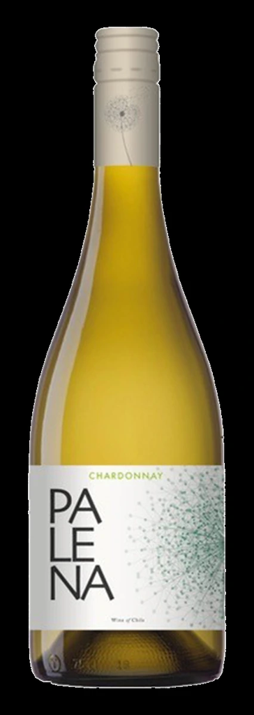 Palena, Maipo Valley Chardonnay 2024 (0,75 l)
