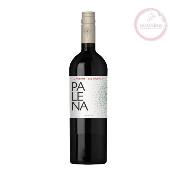 Palena, Rappel Valley Cabernet Sauvignon 2022 (0,75 l)