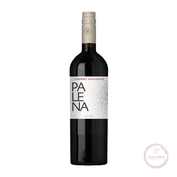 Palena, Rappel Valley Cabernet Sauvignon 2022 (0,75 l)