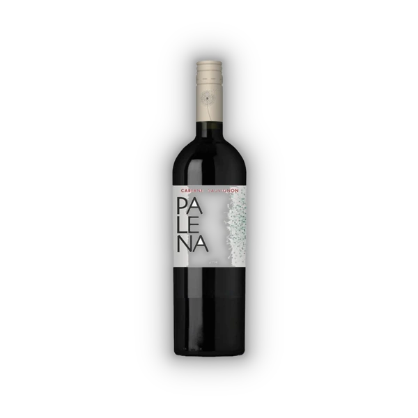 Palena, Rappel Valley Cabernet Sauvignon 2022 (0,75 l)