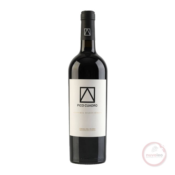 Pico Cuadro, Ribera del Duero DO Vendimia Seleccionada 2020 (0,75 l)