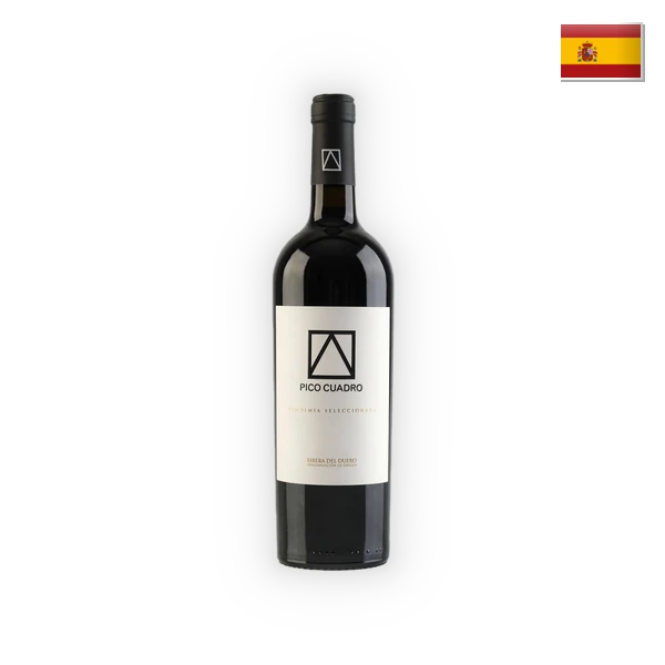 Pico Cuadro, Ribera del Duero DO Vendimia Seleccionada 2020, 0,75 l