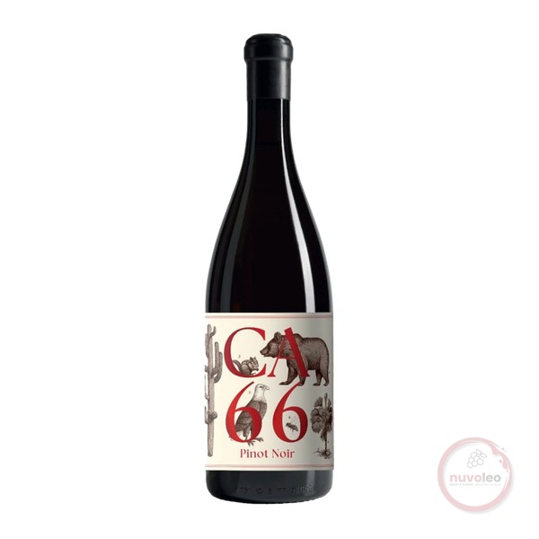 Weingut Hannes Sabathi, Südsteiermark DAC CA 66, Pinot Noir 2023 (0,75 l)