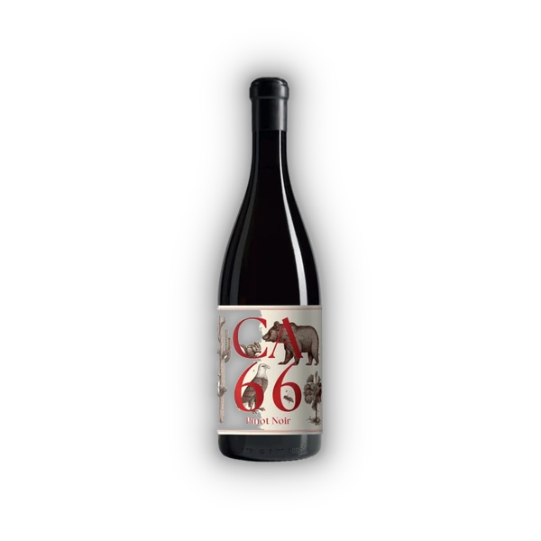 [SABA07023] Weingut Hannes Sabathi, Südsteiermark DAC CA 66, Pinot Noir 2023 (0,75 l)