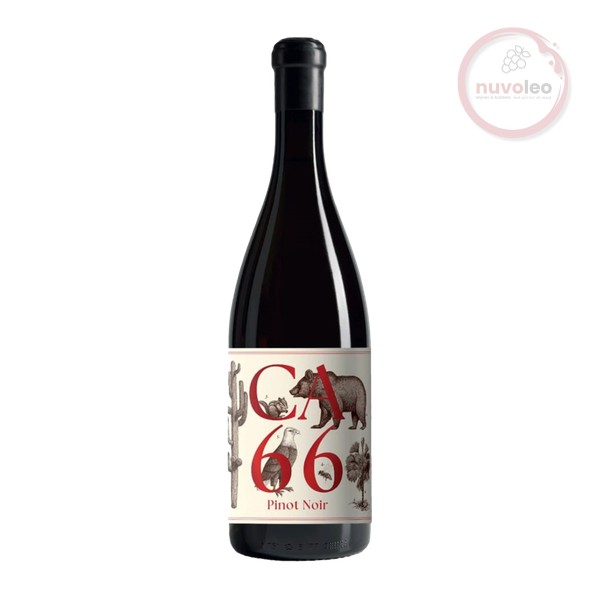 [SABA07023] Weingut Hannes Sabathi, Südsteiermark DAC CA 66, Pinot Noir 2023 (0,75 l)