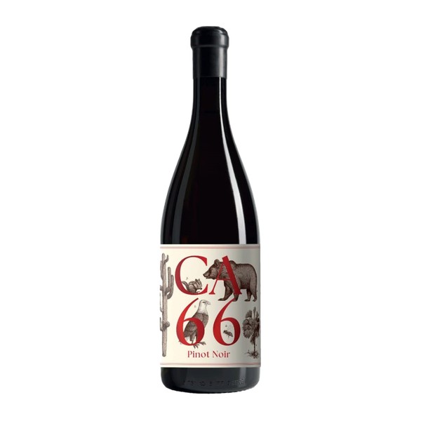 [SABA07023] Weingut Hannes Sabathi, Südsteiermark DAC CA 66, Pinot Noir 2023 (0,75 l)