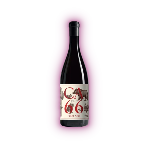 [SABA07023] Weingut Hannes Sabathi, Südsteiermark DAC CA 66, Pinot Noir 2023 (0,75 l)