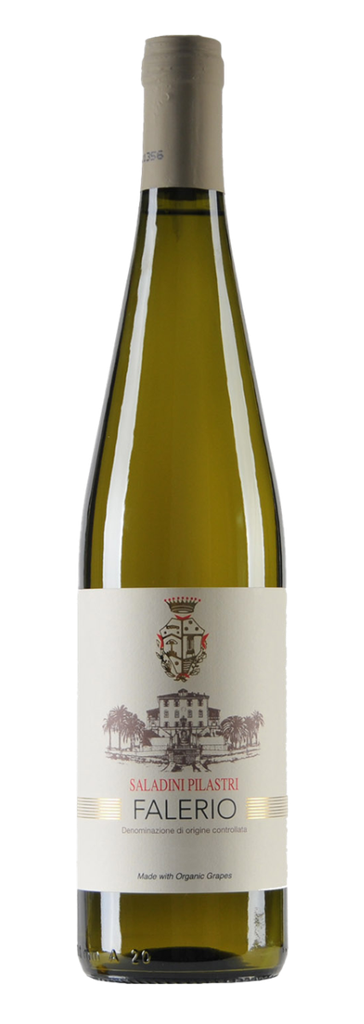 Saladini Pilastri, Falerio Bianco DOC   BIO 2023 (0,75 l)