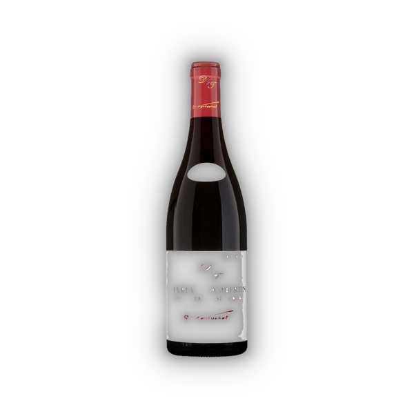 Domaine Tortochot, Gevrey Chambertin AC Lavaux St. Jacques 1ER BIO 2023 (0,75 l)