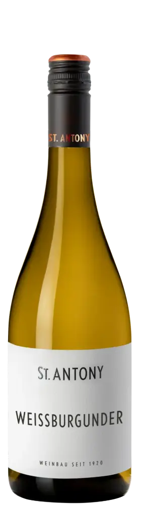 [NUVSTAWEISS24] St. Antony, Weissburgunder, 2024 (0,75 l)