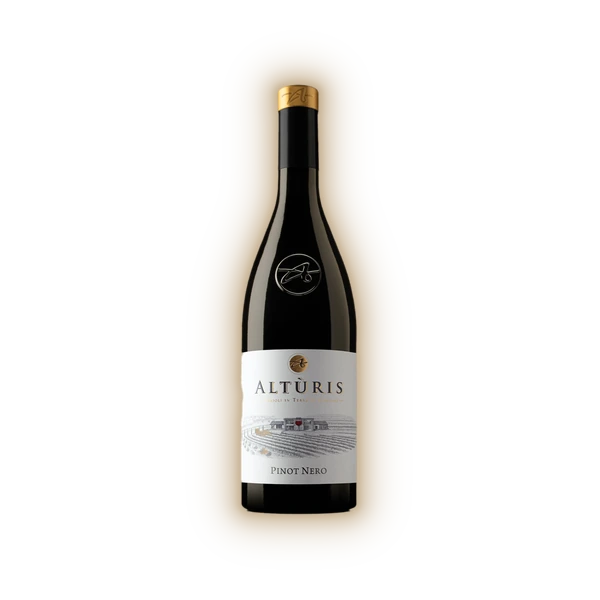 [ALTU09024] Azienda Agricola Altùris, Venezia Giulia IGP Pinot Nero