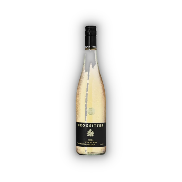Brogsitter Weingüter, Rheinhessen Terra Blanc, Spätburgunder Blanc de Noir 2024 (0,75 l)