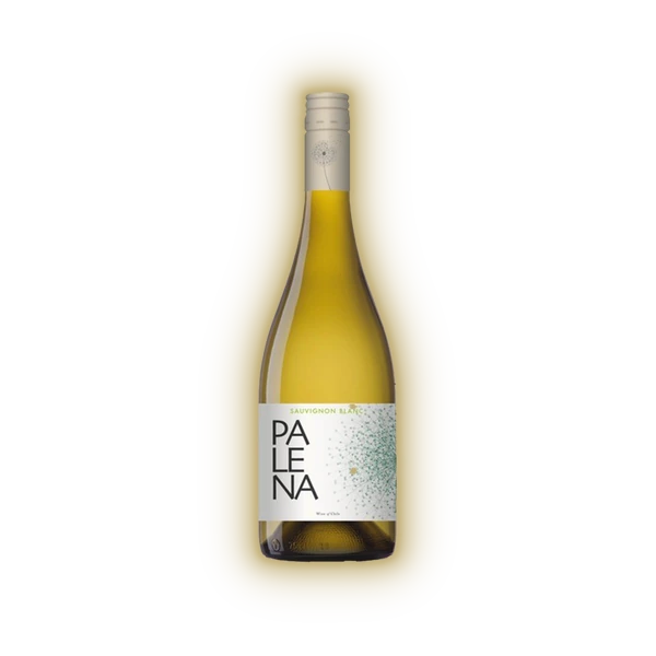 [PALE01025] Palena, Rappel Valley Sauvignon Blanc 2025 (0,75 l)