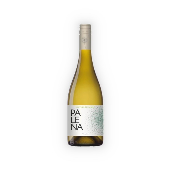 Palena, Rappel Valley Sauvignon Blanc 2025 (0,75 l)