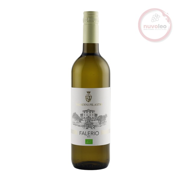 Saladini Pilastri, Falerio Bianco DOC   BIO 2024 (0,75 l)