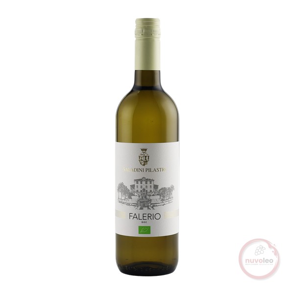 Saladini Pilastri, Falerio Bianco DOC   BIO 2024 (0,75 l)