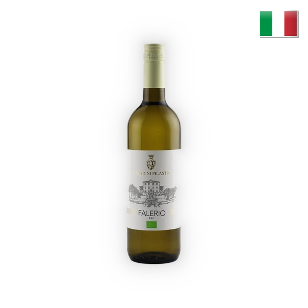 [SALA01024] Saladini Pilastri, Falerio Bianco DOC   BIO 2024, 0,75 l
