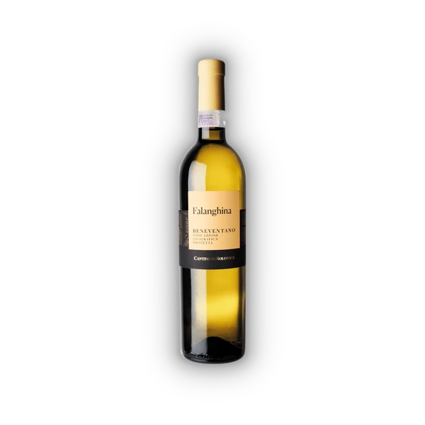 Cantina di Solopaca, Beneventano IGT Falanghina 2025 (0,75 l)