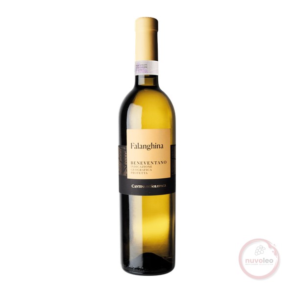 Cantina di Solopaca, Beneventano IGT Falanghina 2025 (0,75 l)