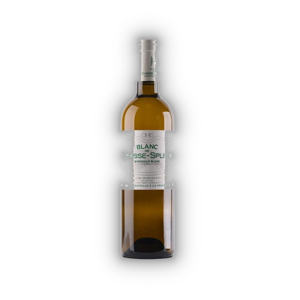 Château Chasse-Spleen, Bordeaux AC 2023 (0,75 l)