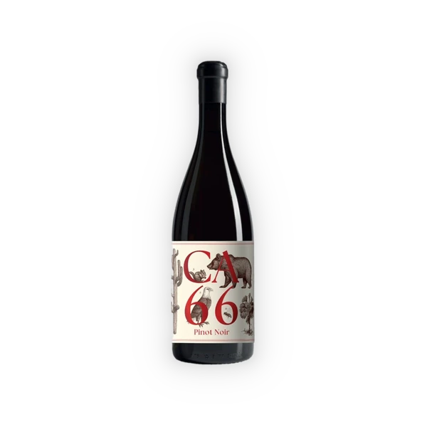 Weingut Hannes Sabathi, Südsteiermark DAC CA 66, Pinot Noir 2025 (0,75 l)