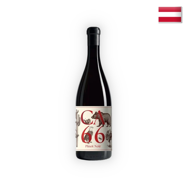 Weingut Hannes Sabathi, Südsteiermark DAC CA 66, Pinot Noir 2025, 0,75 l