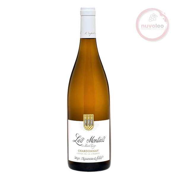 Domaine Serge Dagueneau et Filles, Côtes de la Charité IGP Chardonnay 2020 (0,75 l)