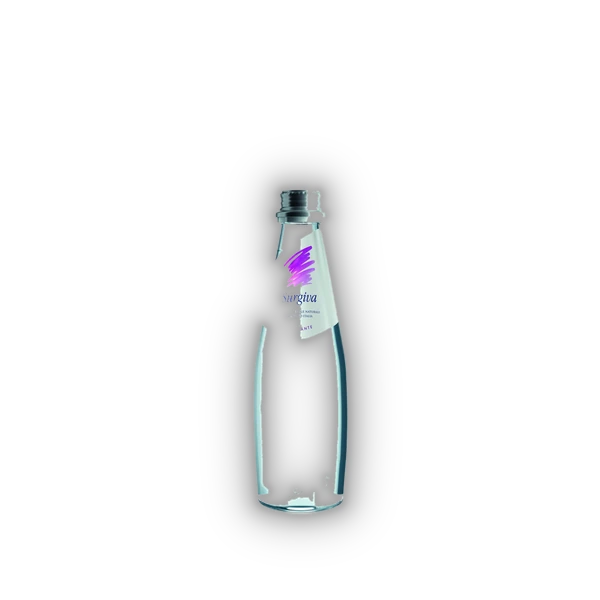 Surgiva,  Sparkling Mineral water 0,25 lt. (0,25)