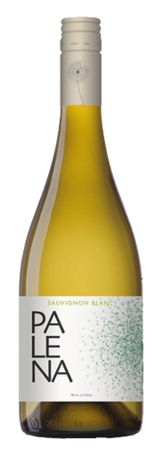 [PALE01023] Palena, Rappel Valley Sauvignon Blanc 2023 (0,75 l)