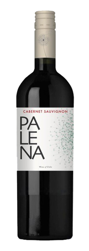 [PALE05022] Palena, Rappel Valley Cabernet Sauvignon 2022 (0,75 l)