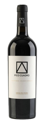 [PICO02020] Pico Cuadro, Ribera del Duero DO Vendimia Seleccionada 2020 (0,75 l)