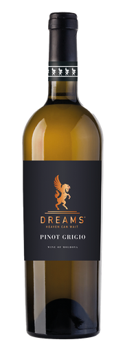 [ZENZ05023] Dreams,  Heaven can wait, Pinot Grigio 2023 (0,75 l)